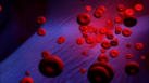 m14_030 Rote Blutk�rperchen (Erythrozyten)