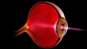 m04_025 Auge im seitlichen L�ngsschnitt (Aufbau) mit Glask�rper und feinsten Blutgef��en