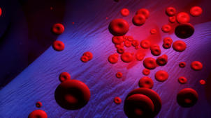 m14_030 Rote Blutk�rperchen (Erythrozyten)
